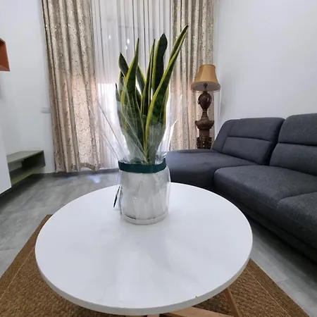 Odahousetirana Daire Tiran