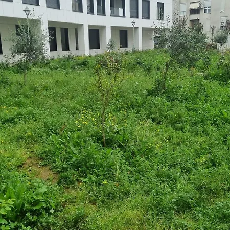 Apartment Odahousetirana Tirana