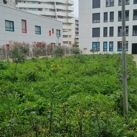 Odahousetirana * Tirana
