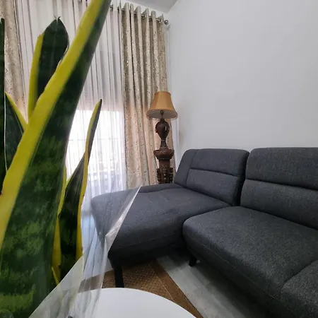 Odahousetirana *
